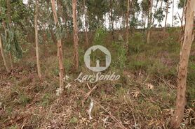 Terreno R�stico - Rio Me�o, Santa Maria da Feira, Aveiro - Miniatura: 10/20