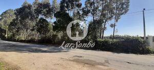 Terreno R�stico - Rio Me�o, Santa Maria da Feira, Aveiro - Miniatura: 11/20