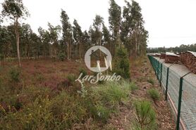 Terreno R�stico - Rio Me�o, Santa Maria da Feira, Aveiro - Miniatura: 12/20