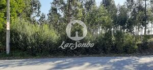 Terreno R�stico - Rio Me�o, Santa Maria da Feira, Aveiro - Miniatura: 13/20