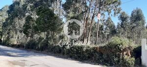 Terreno R�stico - Rio Me�o, Santa Maria da Feira, Aveiro - Miniatura: 15/20