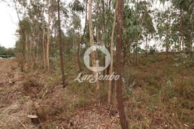 Terreno R�stico - Rio Me�o, Santa Maria da Feira, Aveiro - Miniatura: 17/20