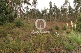 Terreno R�stico - Rio Me�o, Santa Maria da Feira, Aveiro - Miniatura: 18/20
