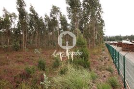 Terreno R�stico - Rio Me�o, Santa Maria da Feira, Aveiro - Miniatura: 19/20