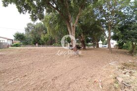 Terreno R�stico - Esmoriz, Ovar, Aveiro - Miniatura: 1/14