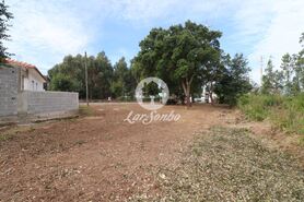 Terreno R�stico - Esmoriz, Ovar, Aveiro - Miniatura: 3/14