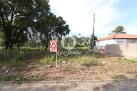 Terreno R�stico - Esmoriz, Ovar, Aveiro - Miniatura: 6/14