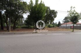 Terreno R�stico - Esmoriz, Ovar, Aveiro - Miniatura: 8/14