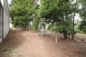 Terreno R�stico - Esmoriz, Ovar, Aveiro - Miniatura: 9/14