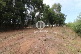 Terreno R�stico - Esmoriz, Ovar, Aveiro - Miniatura: 10/14