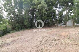 Terreno R�stico - Esmoriz, Ovar, Aveiro - Miniatura: 11/14