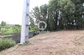 Terreno R�stico - Esmoriz, Ovar, Aveiro - Miniatura: 12/14