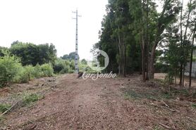 Terreno R�stico - Esmoriz, Ovar, Aveiro - Miniatura: 13/14