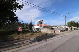 Terreno R�stico - Esmoriz, Ovar, Aveiro - Miniatura: 14/14