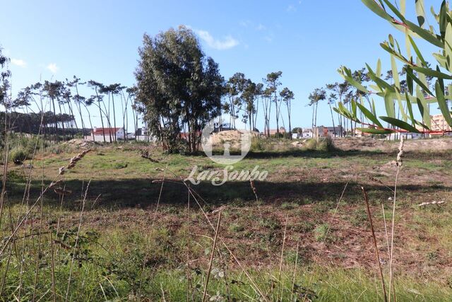 Terreno R�stico - Esmoriz, Ovar, Aveiro - Imagem grande