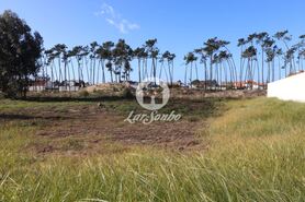 Terreno R�stico - Esmoriz, Ovar, Aveiro - Miniatura: 4/7