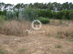 Terreno R�stico - Esmoriz, Ovar, Aveiro - Miniatura: 5/7