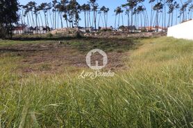 Terreno R�stico - Esmoriz, Ovar, Aveiro - Miniatura: 7/7