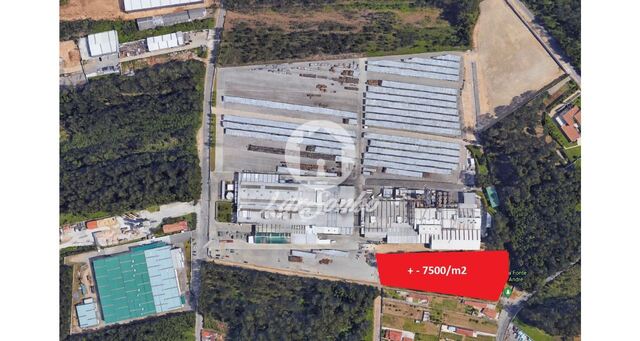 Terreno R�stico - Rio Me�o, Santa Maria da Feira, Aveiro - Imagem grande