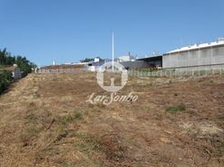 Terreno R�stico - Rio Me�o, Santa Maria da Feira, Aveiro - Miniatura: 2/14