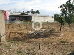 Terreno R�stico - Rio Me�o, Santa Maria da Feira, Aveiro - Miniatura: 6/14