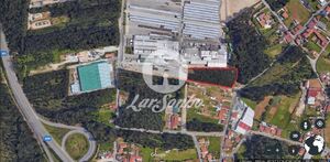 Terreno R�stico - Rio Me�o, Santa Maria da Feira, Aveiro - Miniatura: 10/14