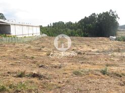 Terreno R�stico - Rio Me�o, Santa Maria da Feira, Aveiro - Miniatura: 11/14