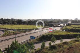 Terreno R�stico - Anta, Espinho, Aveiro - Miniatura: 7/15