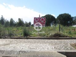 Terreno R�stico - Anta, Espinho, Aveiro - Miniatura: 8/15