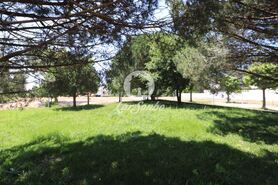 Terreno R�stico - Anta, Espinho, Aveiro - Miniatura: 9/15