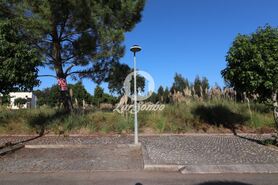 Terreno R�stico - Anta, Espinho, Aveiro - Miniatura: 11/15