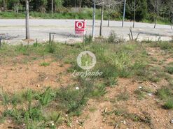 Terreno R�stico - Anta, Espinho, Aveiro - Miniatura: 13/15