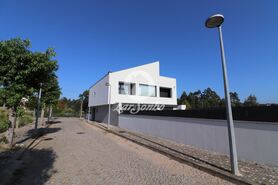 Terreno R�stico - Anta, Espinho, Aveiro - Miniatura: 15/15