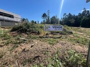 Terreno Rstico - Mosteir, Santa Maria da Feira, Aveiro - Miniatura: 8/8