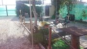 Quinta - Ovar, Ovar, Aveiro - Miniatura: 4/8