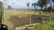 Quinta - Ovar, Ovar, Aveiro - Miniatura: 6/8
