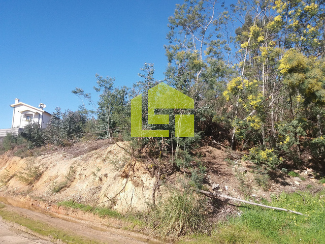 Terreno R�stico - S�o Martinho do Bispo, Coimbra, Coimbra - Imagem grande