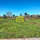 Terreno Rstico - Condeixa-a-Velha, Condeixa-a-Nova, Coimbra - Miniatura: 6/9