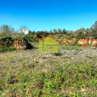 Terreno Rstico - Condeixa-a-Velha, Condeixa-a-Nova, Coimbra - Miniatura: 8/9