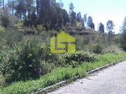 Terreno R�stico - Assafarge, Coimbra, Coimbra - Miniatura: 2/6