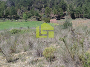 Terreno R�stico - Assafarge, Coimbra, Coimbra - Miniatura: 4/6