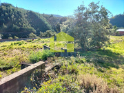 Terreno R�stico - Pampilhosa da Serra, Pampilhosa da Serra, Coimbra - Miniatura: 1/9