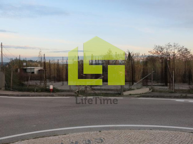 Terreno R�stico - Cernache, Coimbra, Coimbra - Imagem grande