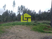 Terreno R�stico - Taveiro, Coimbra, Coimbra - Miniatura: 6/9