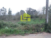 Terreno R�stico - Taveiro, Coimbra, Coimbra - Miniatura: 8/9