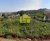 Terreno R�stico - Nogueira da Regedoura, Santa Maria da Feira, Aveiro - Miniatura: 6/9