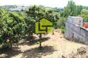Terreno R�stico - Almalagu�s, Coimbra, Coimbra - Miniatura: 5/9