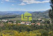 Terreno R�stico - Sabrosa, Sabrosa, Vila Real - Miniatura: 1/9
