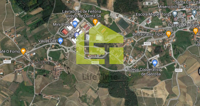 Terreno Rústico - Paços, Sabrosa, Vila Real - Imagem grande