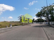 Terreno R�stico - Condeixa-a-Velha, Condeixa-a-Nova, Coimbra - Miniatura: 4/9